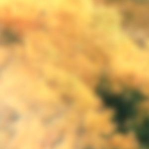 197653（cover.醒山AwakeMountains）