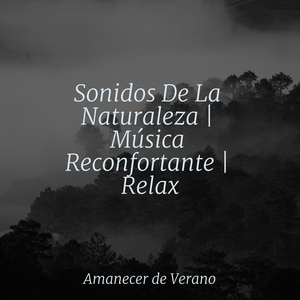 La Despedida del Horizonte Sonrojado