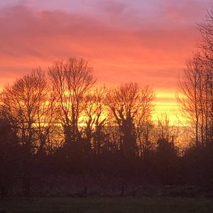Black Boots, Brown Shirt, No Face