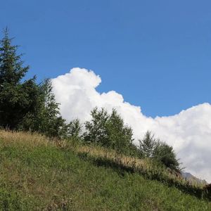 爱江山更爱美人