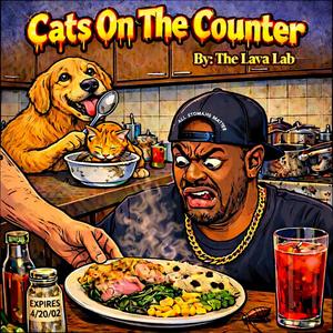Cats On The Counter