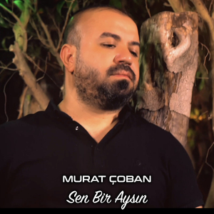 Sen Bir Aysın