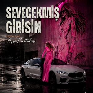 SEVECEKMiŞ GiBiSiN