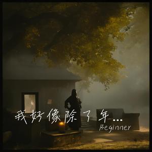 我好像除了年龄以外一点都不像大人