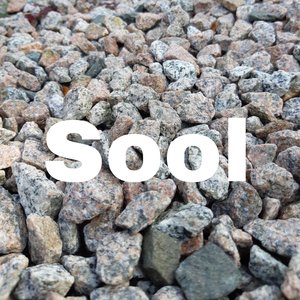 Soolum