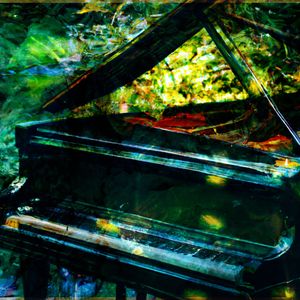 Dance of the Nimbus Shadows