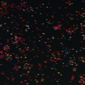 i love u for all night long