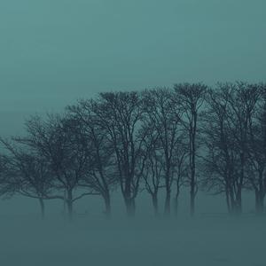 I get quiet because I don’t want to explain what I’m feeling