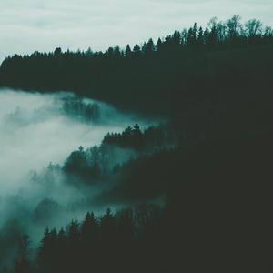 the verde