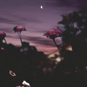 转换_1021_s_0bc3hznuqeag4uamymxnpnrlspwdjbqan7ca.f0