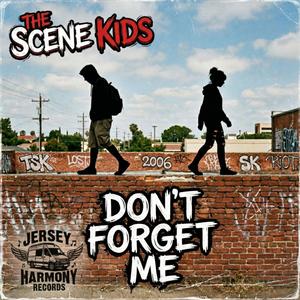 Don't Forget Me