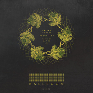 Sequoia (Marco Lys Remix)