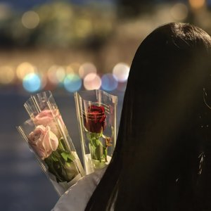 忘记生命只需呼吸