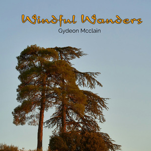 Windful Wanders
