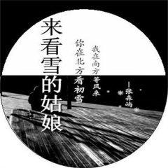 来看雪的姑娘