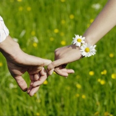 泪花开在爱情里