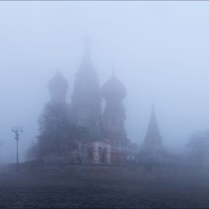 Птицы