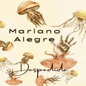 Despedida