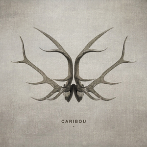 Caribou