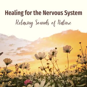 非日常体験～リラクシング自然音～