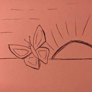 Butterfly at the Dawn