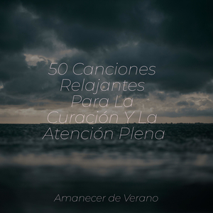 Comportamiento Encantador