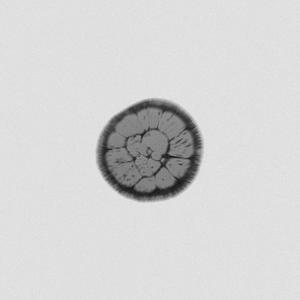 breakfast (Demo version)