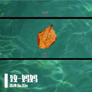 致-妈妈