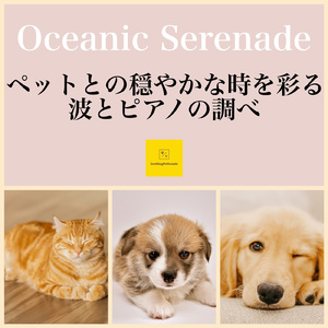 癒しの波の間に奏でるメロディ