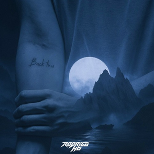 SLANDER, William Black, Seven Lions, Wooli, Trivecta - Back To U x Light In The Dark (Rodrigo HO Mashup)