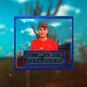 Pega de Boi e Desmantelo
