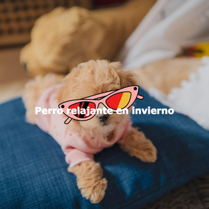 Cold Nights (Memories)