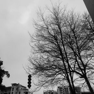 泪爱（Prod.Morrow x FAS）