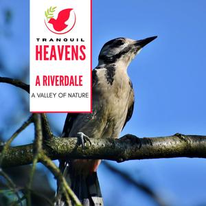 Prolific Spring Bees