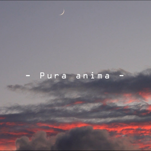 Pura Anima