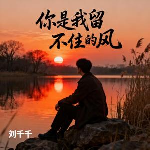 你是我留不住的风
