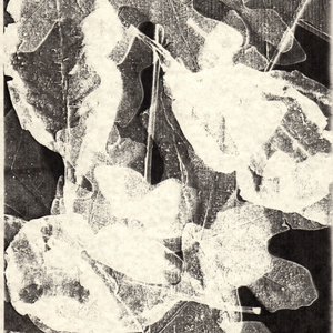 she leaves them just outside