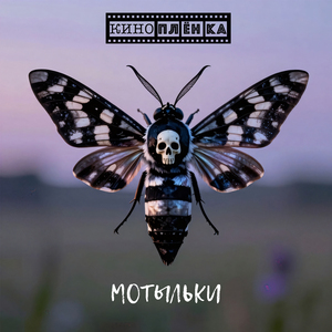 Мотыльки