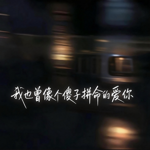 我也曾像个傻子拼命的爱你