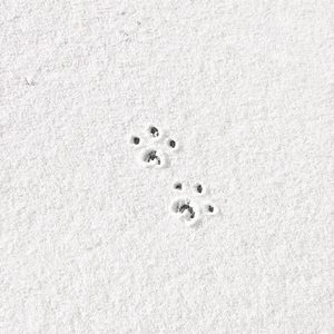 音频提取_190111_track1