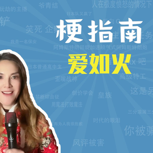 爱如火是什么梗【梗指南】