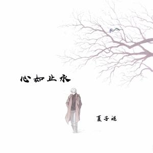 心如止水-夏子皓