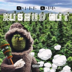 Kushed Out