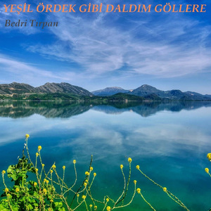 Yeşil Ördek Gibi Daldım Göllere