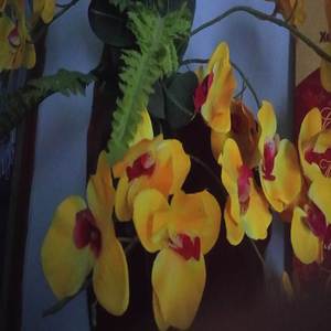 năm tháng ấy (giuta)