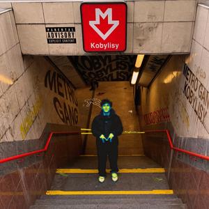 KOBYLISY