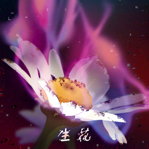 生花