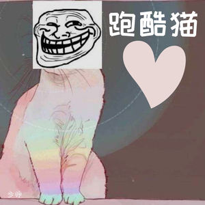 跑酷猫