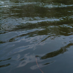 ในใจเธอไม่ได้มีแค่ฉัน