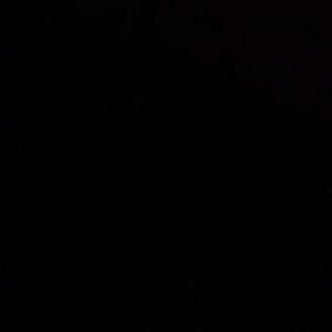 发霉情歌（pt.2）